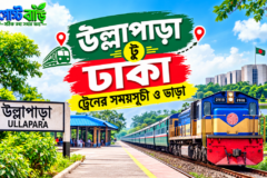 উল্লাপাড়া টু ঢাকা ট্রেনের সময়সূচী ও ভাড়া ২০২৬